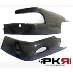 PROTECTION BRAS 1000 RR 08/11 PKR