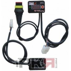 PZ RACING DESMO TRONIC
