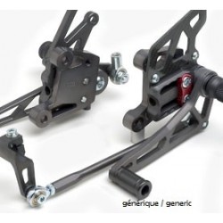 COMMANDES RECULÉES MULTI-POSITION POUR ZX636 ET ZX6RR 2005