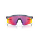 Lunettes de soleil OAKLEY Hydra Community Collection Verres Prizm Road