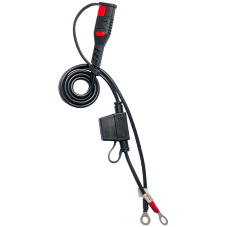 Chargeur de batterie intelligent BS BATTERY BS15