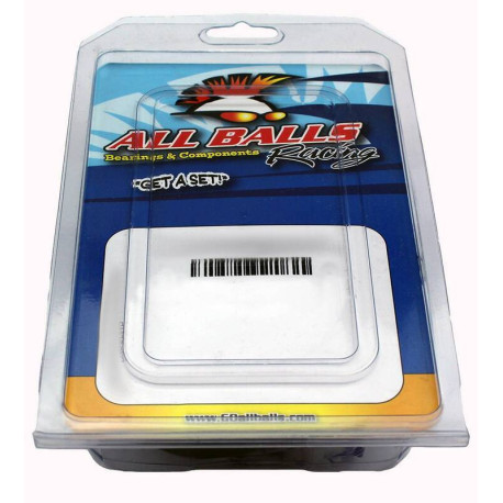 Kit réparation étrier de frein ARRIERE.. ALL BALLS