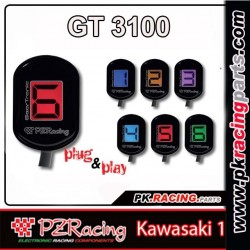 PZ RACING GT3100
