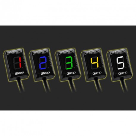 GIpro DS-series G2 Suzuki 1