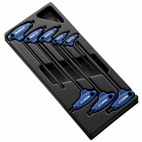 Module d'outils EXPERT 8 clés males 6 pans en T - plateau plastique