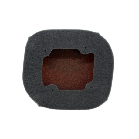 Filtre à air TWIN AIR Powerflow kit 799840