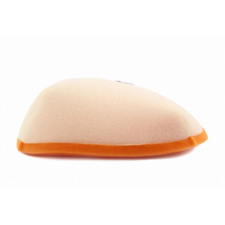 Filtre à air TWIN AIR Gas Gas EC250-300