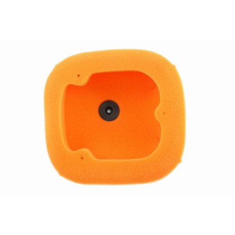 Filtre à air TWIN AIR Gas Gas EC250-300