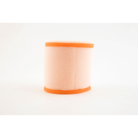 Filtre à air TWIN AIR Suzuki LT-R450