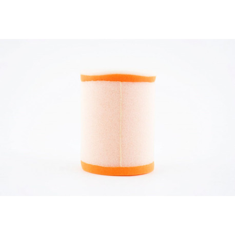 Filtre à air TWIN AIR Suzuki LT-F250