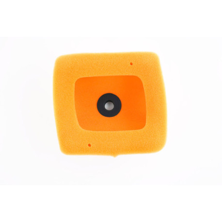 Filtre à air TWIN AIR