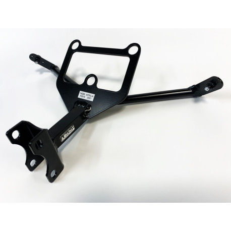 ARAIGNEE RACING RSV4 21-