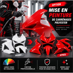 Préparation et peinture de carénages polyester moto – Sur mesure