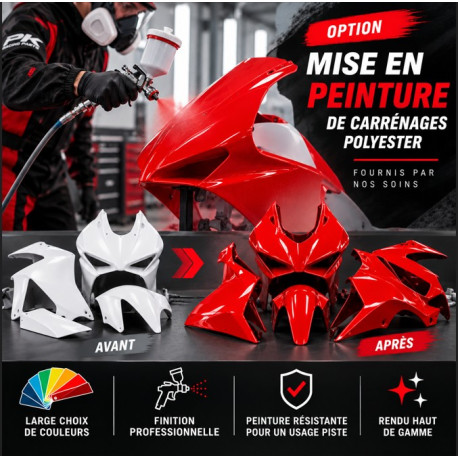 Préparation et peinture de carénages polyester moto – Sur mesure