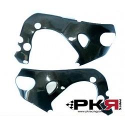 PROTECTION CADRE 1000 RR 08/12 PKR