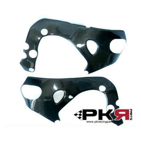 PROTECTION CADRE 1000 RR 08/12 PKR