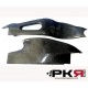 PROTECTION BRAS 1000 RR 04/07 PKR