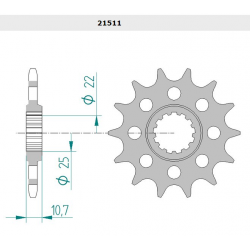 PIGNON AFAM 520 R6 06/12