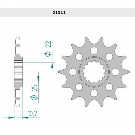 PIGNON AFAM 520 R6 06/12