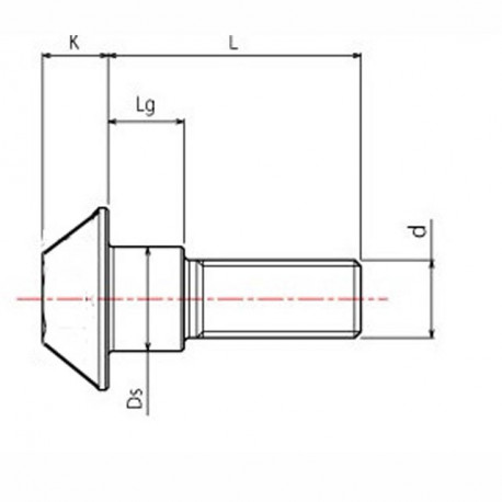 vis titane pour disque de freins Avant T1-YS6