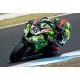 FAUX PHARES AUTOCOLLANTS ZX10R 11-13