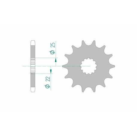 Pignon AFAM acier standard 28401 - 525