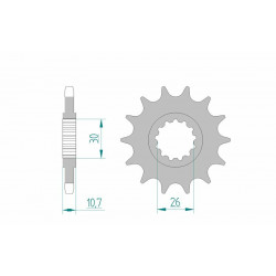 Pignon AFAM acier standard 21607 - 525