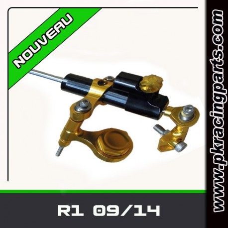 KIT AMORTISSEUR DE DIRECTION R1 09/14