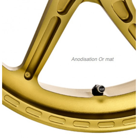 Paire de jantes OZ PIEGA PANIGALE 899 / 959