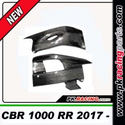 PROTECTION BRAS 1000 RR 2017