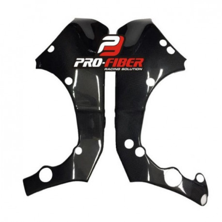 PROTECTION CADRE PRO-FIBER ZX10R 16-22