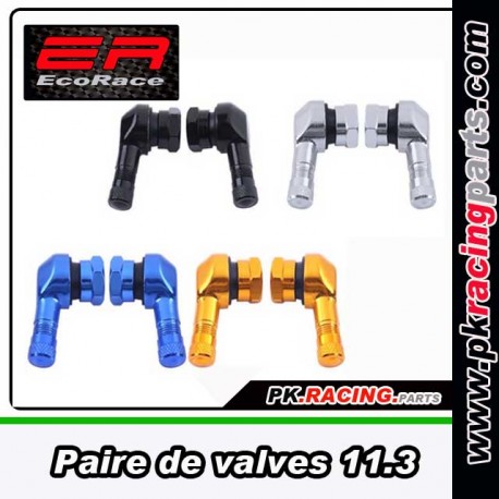 Valves coudées 11.3