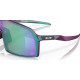 Lunettes de soleil OAKLEY Sutro Troy Lee Designs Series