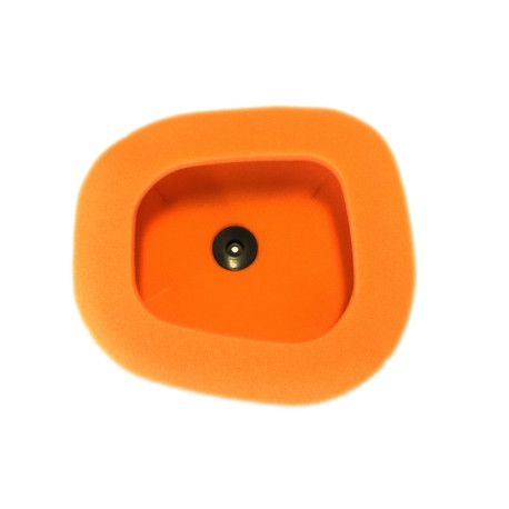 Filtre à air TWIN AIR Kawasaki KX450