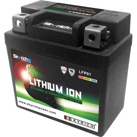 Batterie SKYRICH LTKTM04L sans entretien