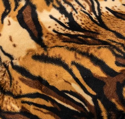 TIGRE