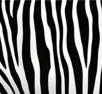 ZEBRE